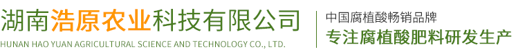 乐玩最新版本下载